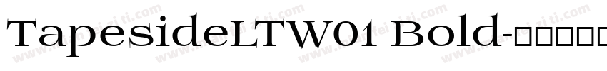 TapesideLTW01 Bold字体转换